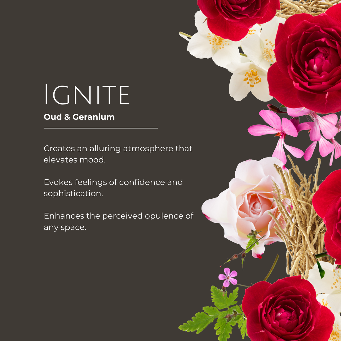 Amaura London Ignite Luxury Candle – Oud & Geranium (280g)