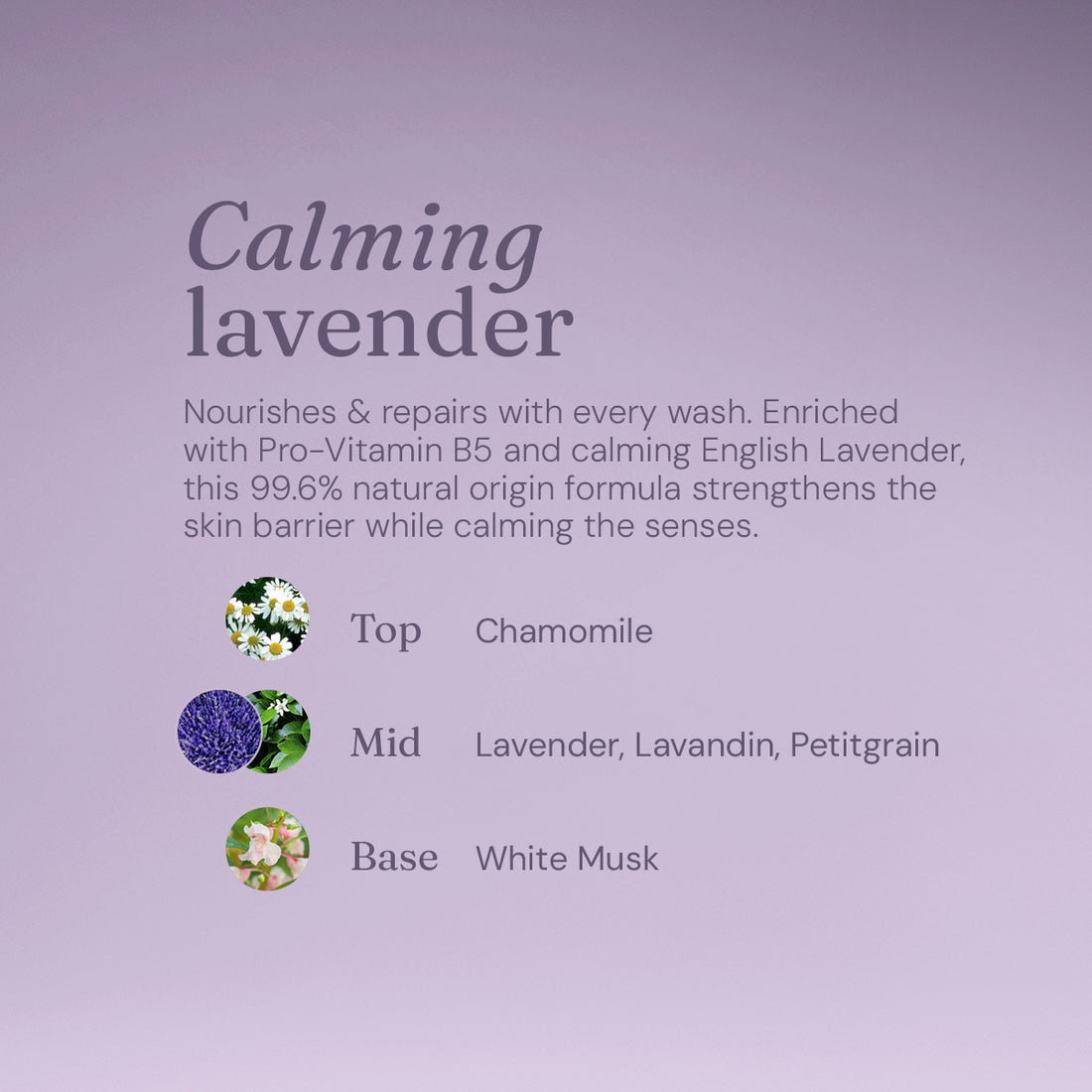 Miniml Body Wash & Bubble Bath – Calming Lavender
