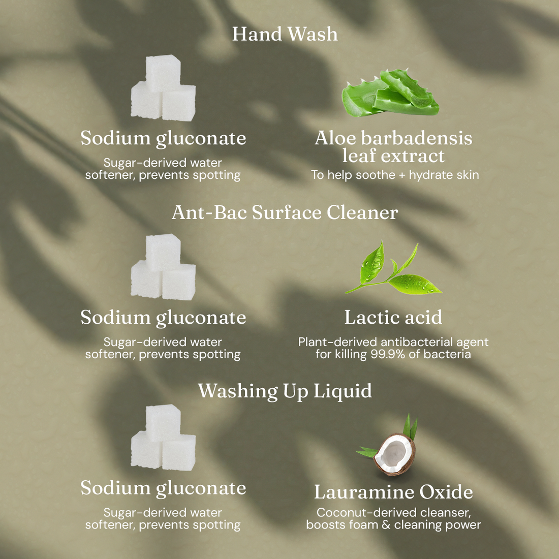 Miniml Limited Edition Fig Leaf Bundle