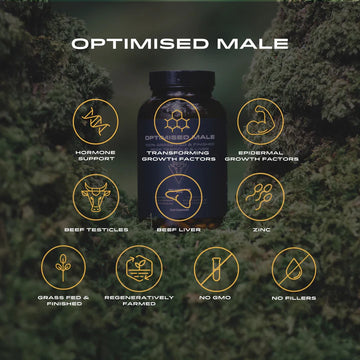 Ape Nutrition Optimised Male
